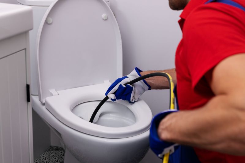 Toilet Snaking detail