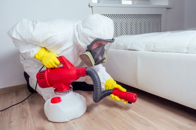 Mosquito Control Service
